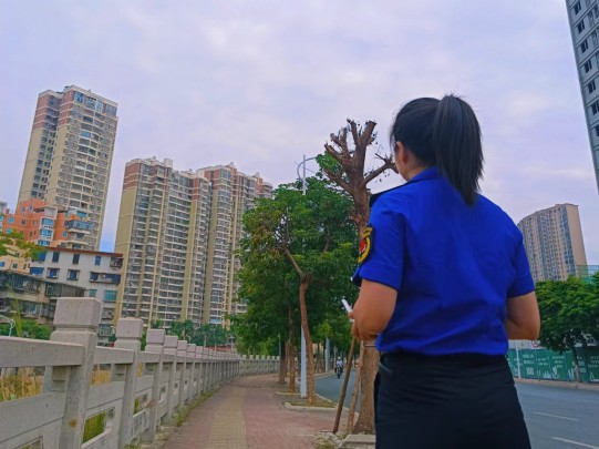 1756282014680117.jpg 圖片 4.jpg